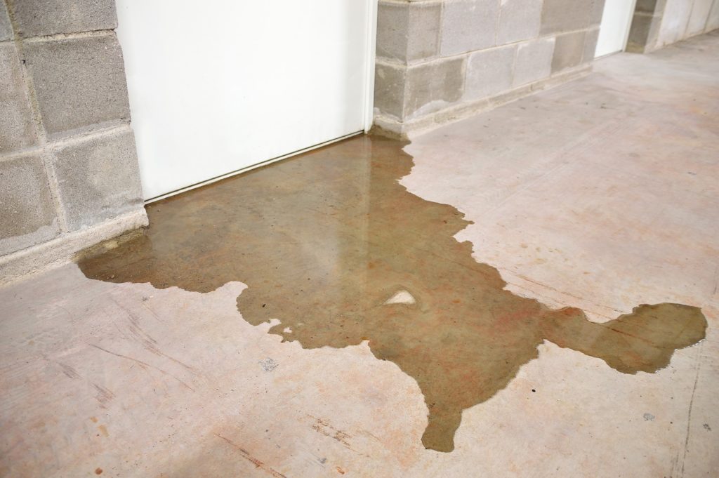 How To Keep Your Basement Mold Free, Mold Free Basement Flooring